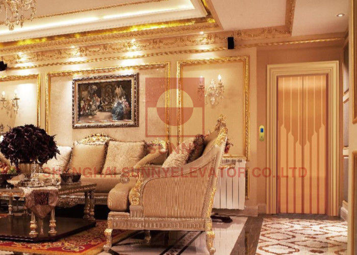 Traction Type Small Home Elevators Building Lifts Elevators