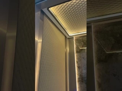 Observation /  Panoramic High Speed Elevator Multi Model For Passenger