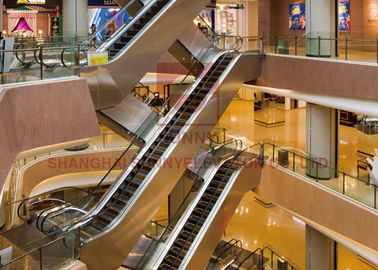 600mm/ 800mm / 1000mm Shopping Mall Vvvf Control Moving Walk Escalator