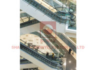 Commercial Vvvf Control Moving Walk Escalator With 35 Degree 1000mm Step Width