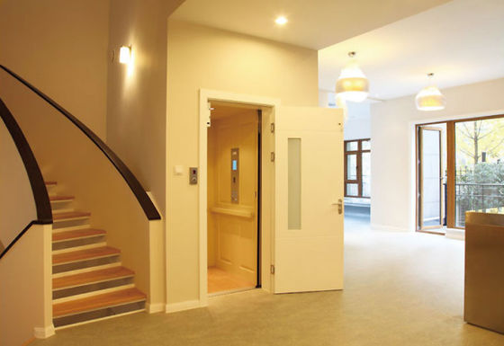 Low Noise Stainless Steel 304 Home Lift with 250-400kg Load for Villas and Residential Use