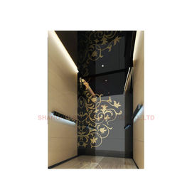 Black Titanium Series Hydraulic Passenger Elevator For Passenger Lift