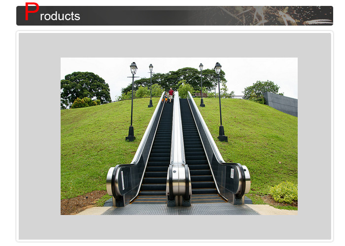 Speed 100 Fpm Outside Elevator Escalator 600 800 1000Mm Step Width